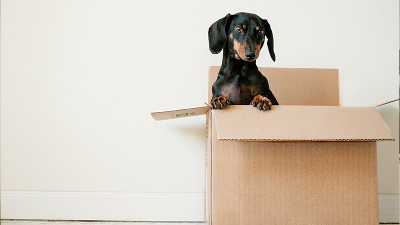 checklist for moving to a new home